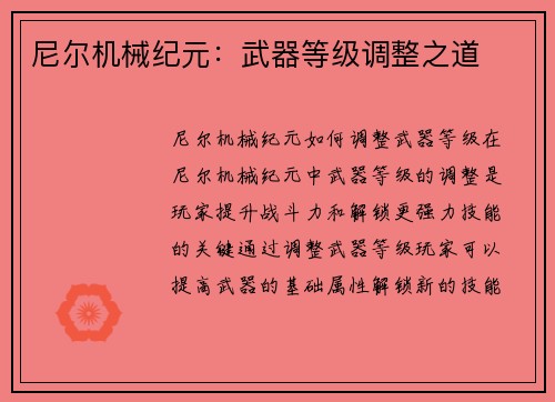 尼尔机械纪元：武器等级调整之道